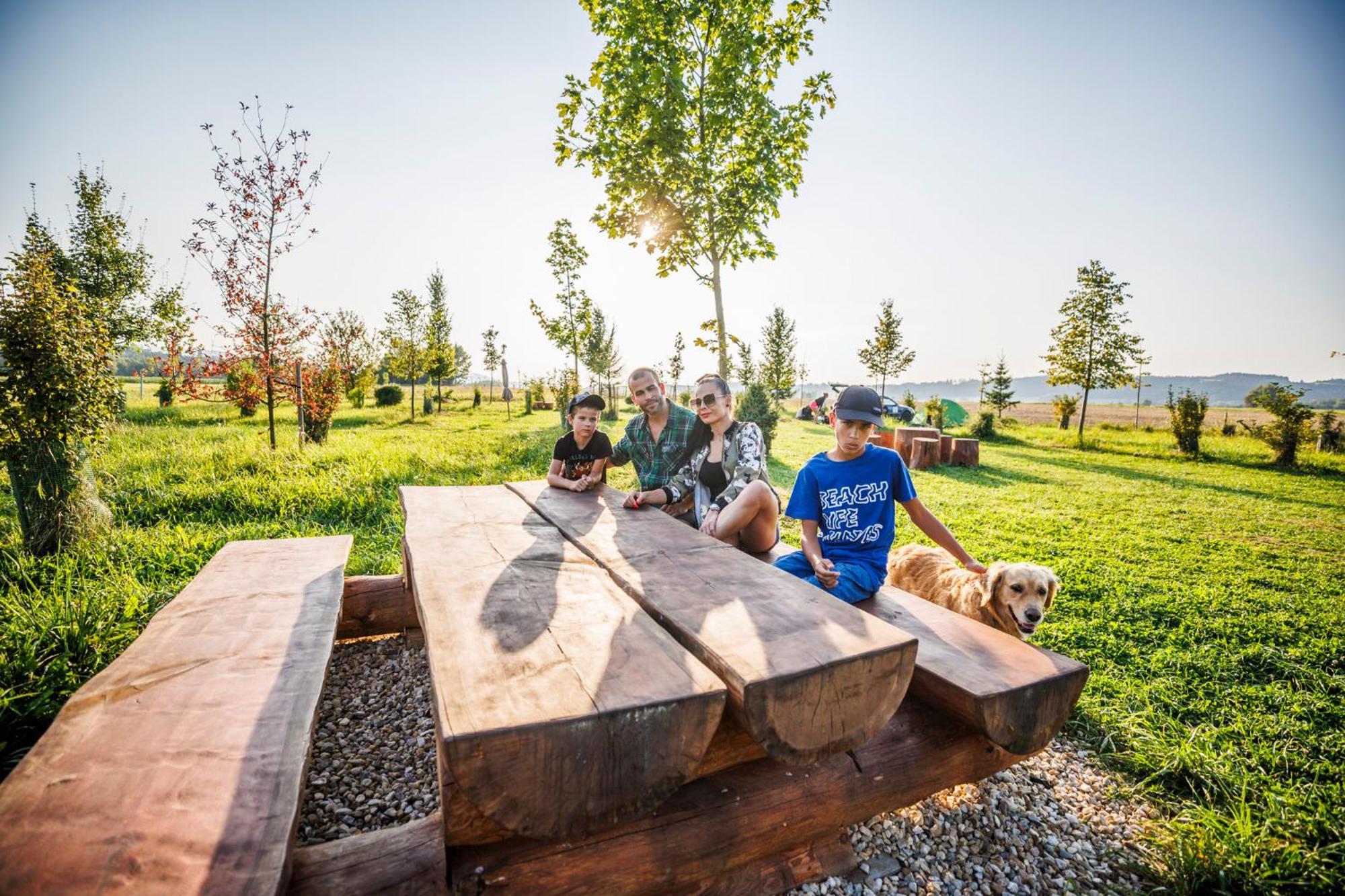 Treehous Sneznik S Wellness Hotel Dolni Morava Ngoại thất bức ảnh
